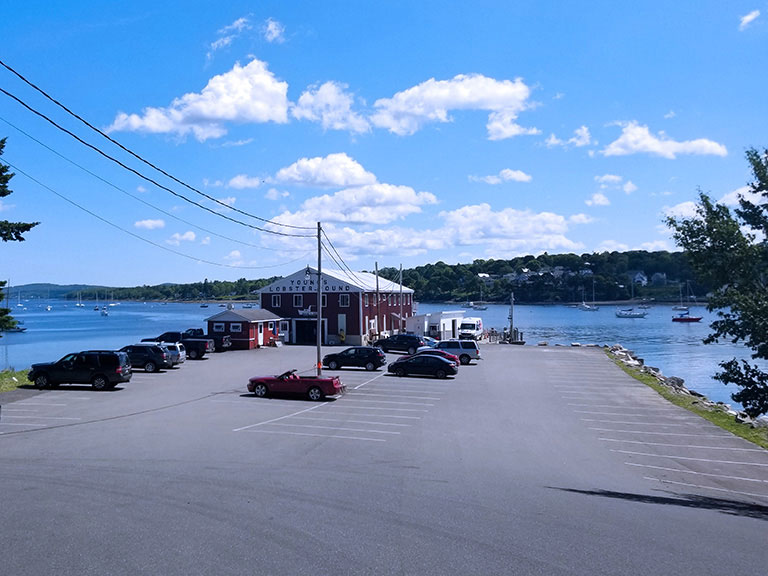 Young’s Lobster Pound & Seafood Restaurant, Maine Live Lobster